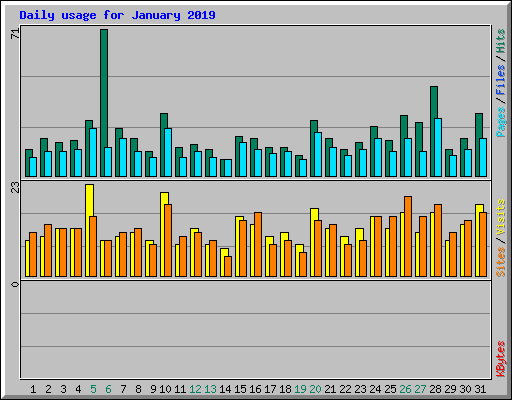 Daily usage for January 2019