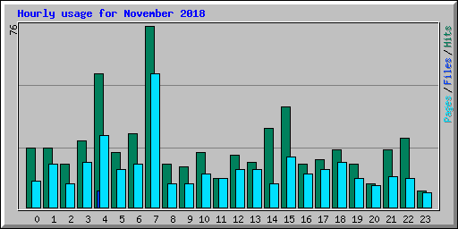 Hourly usage for November 2018