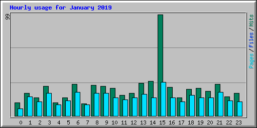 Hourly usage for January 2019