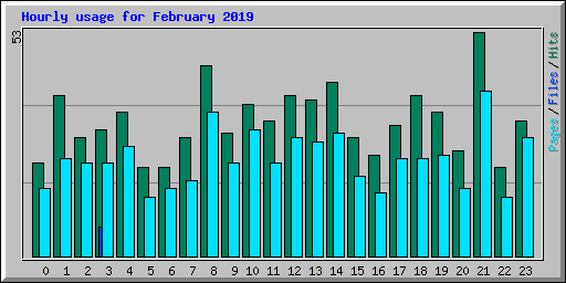 Hourly usage for February 2019